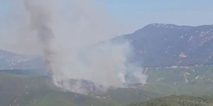 Antalya'nın Kaş ilçesinde orman yangını. 2 Eylül 2019