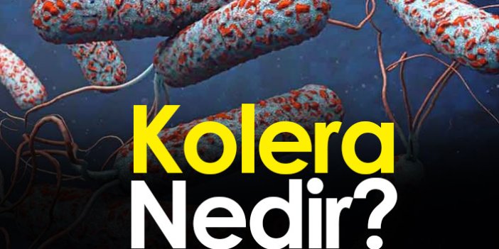 Kolera Nedir? Kolera belirtileri ve tedavileri nelerdir?