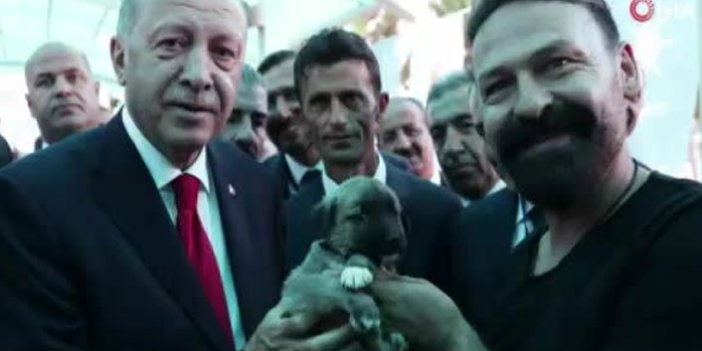 Erdoğan’a Kangal yavrusu hediye edildi