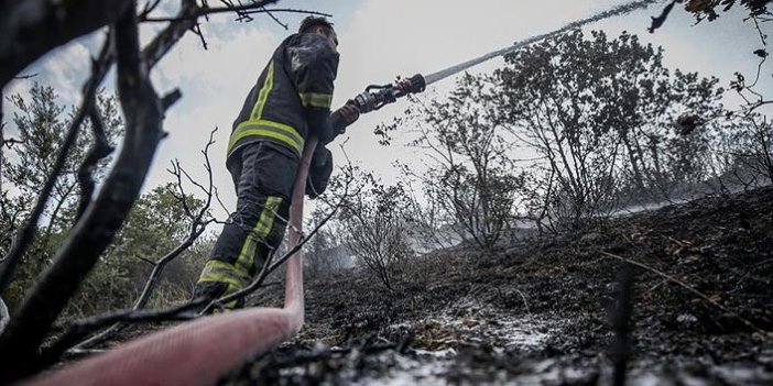 9 ildeki orman yangınları söndürüldü
