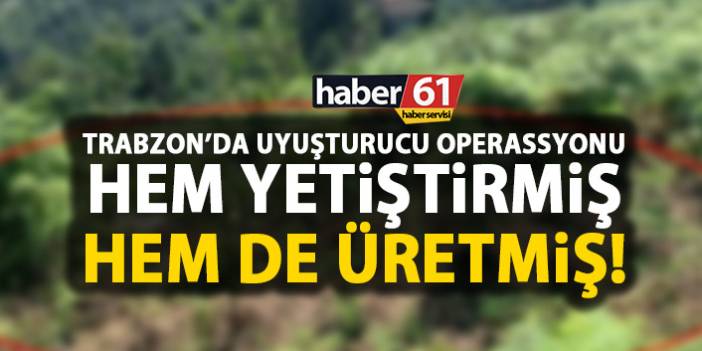 Trabzon'un Tonya ilçesinde uyuşturucu operasyonu! 29 kök kenevir bulundu