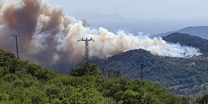 Osmaniye'de orman yangını 28 Temmuz 2021