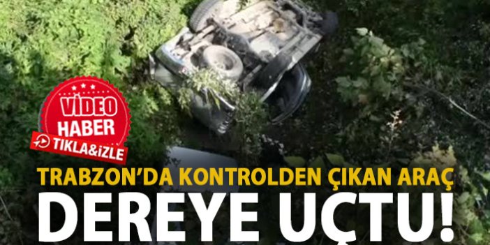 Trabzon'da kontrolden çıkan kamyonet dereye düştü
