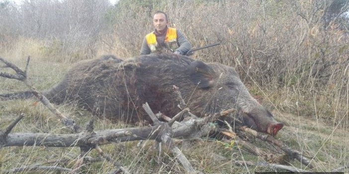 270 kiloluk domuzu vurup fotoğraf çektirdi!