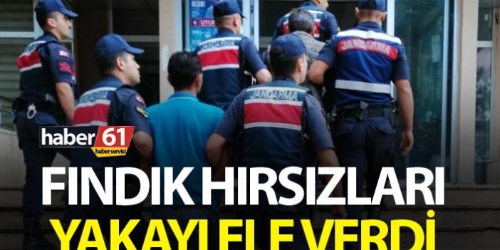 Trabzon’da fındık hırsızları yakayı ele verdi
