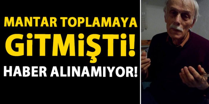 Trabzon'da mantar toplamaya giden adamdan haber alınamıyor!