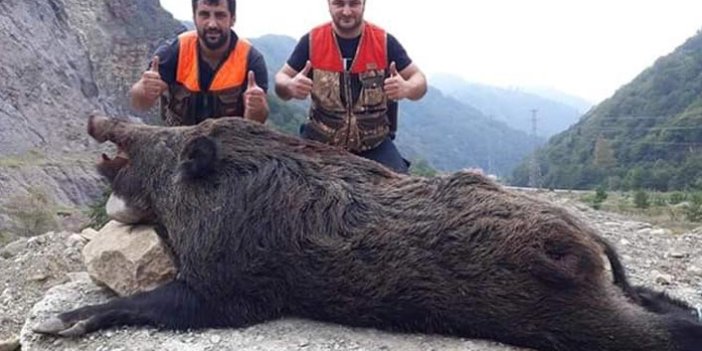 Avcılar bile şaşırdı - Trabzon'da böylesi ilk kez...