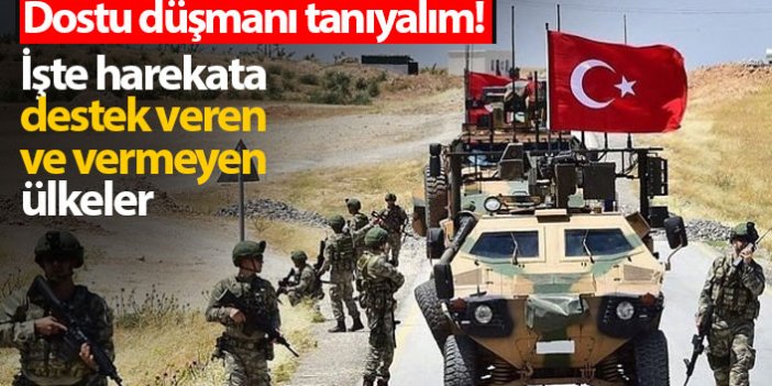 Barış Pınarı Harekatı'nda Türkiye'ye hangi ülkeler destek oldu, hangileri olmadı?