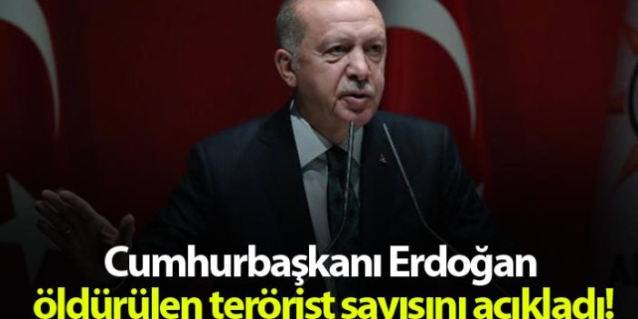 Cumhurbaşkanı Erdoğan, öldürülen terörist sayısını açıkladı!