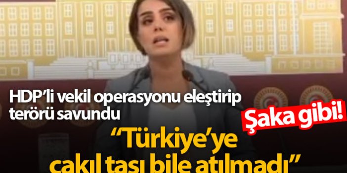 HDP'den bir Barış Pınarı Operasyonu yalanı daha!
