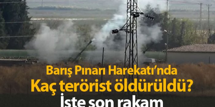 Barış Pınarı Harekatı'nda kaç terörist öldürüldü?