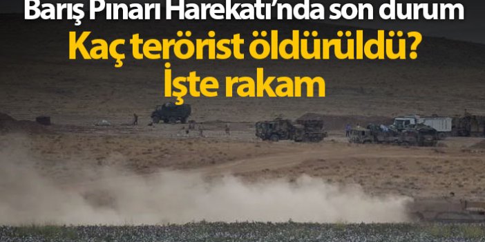 Barış Pınarı Harekatı'nda 6. gün, kaç terörist öldürüldü?