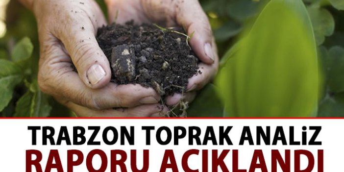 Trabzon toprak analiz raporu açıklandı