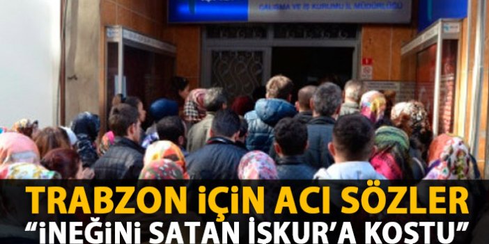 Trabzon için acı sözler: İneği satan İŞKUR'a koştu!