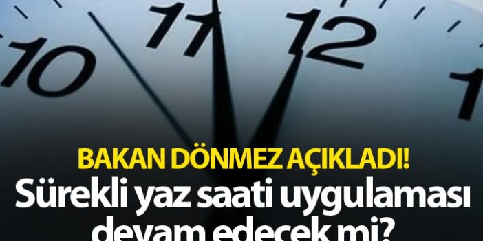 Bakan Dönmez'den "yaz saati uygulaması" açıklaması