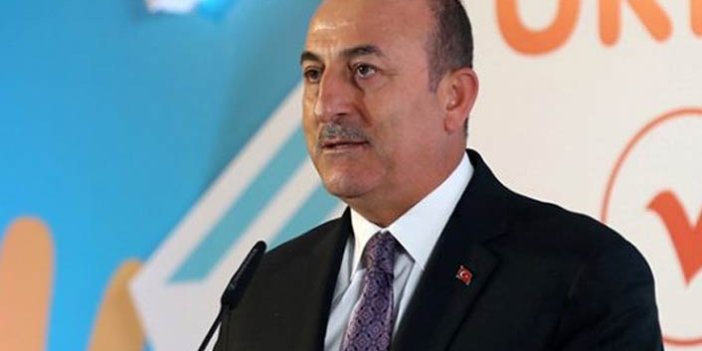 Bakan Çavuşoğlu iki ülkenin adını verdi - "Terör devleti kurmak istiyorlardı"