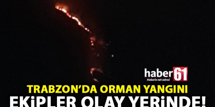 Trabzon’da Orman Yangını! Müdahale edilemiyor!