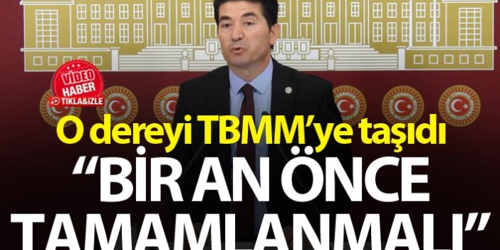Ahmet Kaya Çilekli deresini TBMM'ye taşıdı