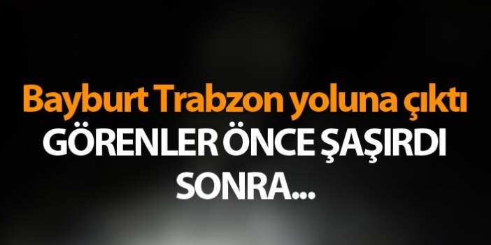 Bayburt Trabzon yoluna çıktı - Görenler önce şaşırdı sonra...