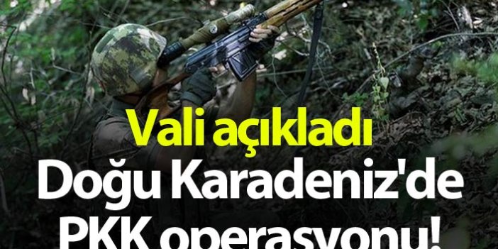 Doğu Karadeniz'de PKK operasyonu! Vali açıkladı
