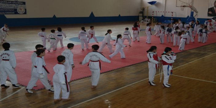 'Minikler Taekwondo Turnuvası' düzenlendi