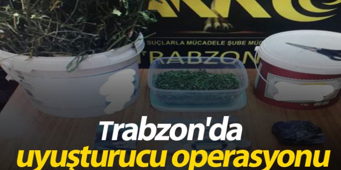 Trabzon'da uyuşturucu operasyonu!