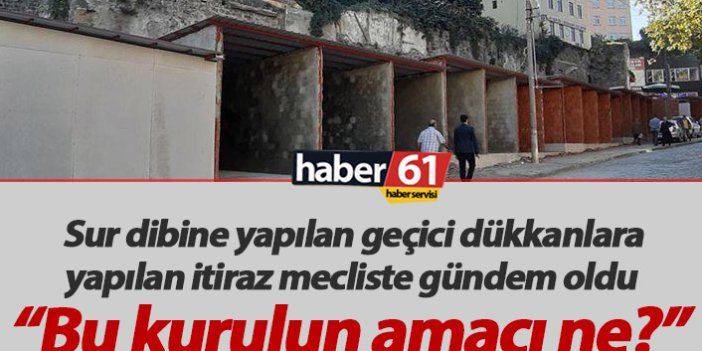 "Trabzon'da Tabiat Varlıkları Koruma Kurulu'nun amacı nedir?"