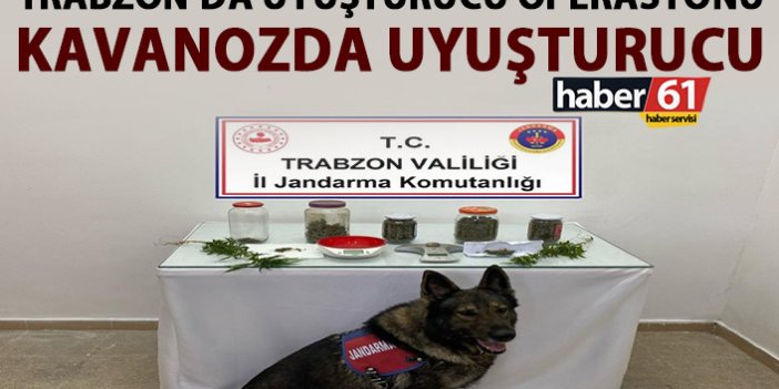 Trabzon’da uyuşturucu operasyonu! Satışa hazır 6 kavanoz