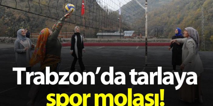 Trabzon'da tarlaya spor molası