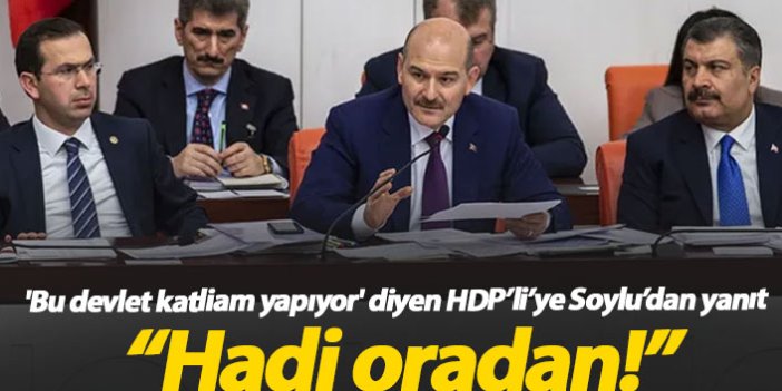 Soylu'dan HDP'li vekile yanıt: Hadi oradan