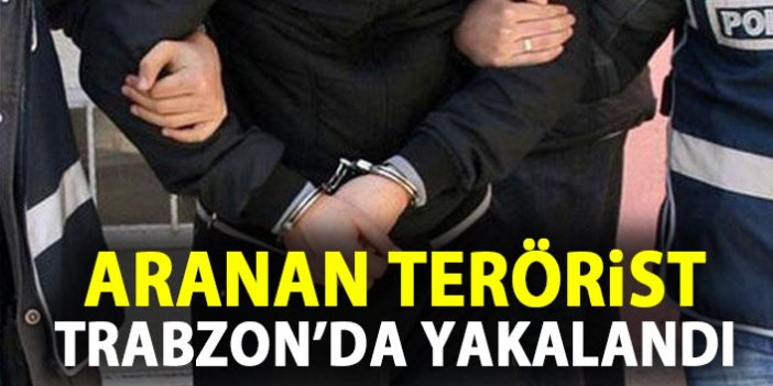 İstanbul merkezli operasyonda 1 Terörist Trabzon'da yakalandı