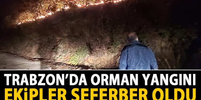 Trabzon'da orman yangını! Müdahale devam ediyor!