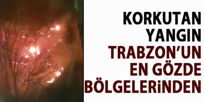 Trabzon’da örtü yangını meydana geldi. 23 Aralık 2019