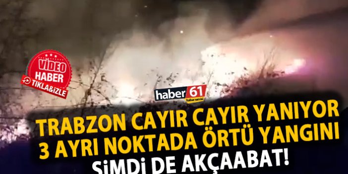 Trabzon cayır cayır yanıyor! 3 ayrı noktada yangın!