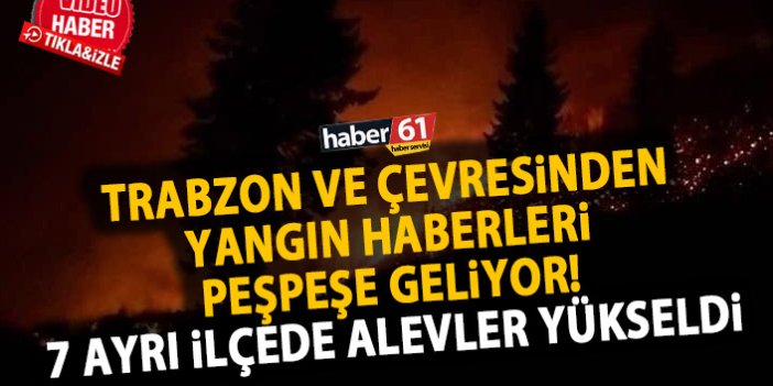 Trabzon ve çevresinde orman yangınları! 7 bölgede alevler yükseldi!