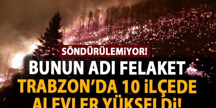 Bunun adı felaket! Trabzon'un 10 ayrı ilçesinde yangın!