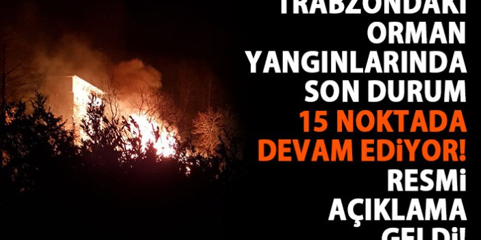 Trabzon'daki orman yangınlarında son durum! 15 noktada devam ediyor!