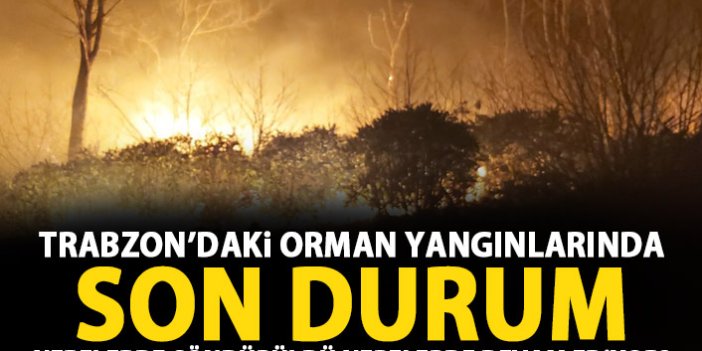 Trabzon'daki orman yangınlarında son durum! Nerelerde devam ediyor!