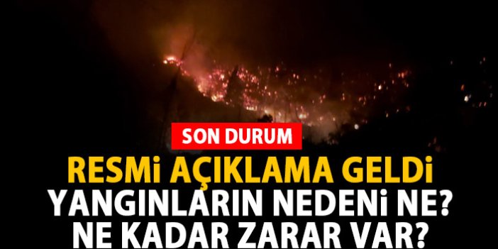 Trabzon'daki yangınların çıkış nedeni ne? Valilikten açıklama geldi!