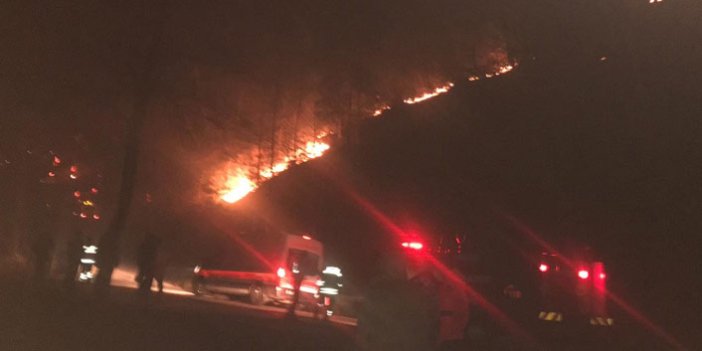 Trabzon'daki yangınlarla ilgili flaş açıklama: Baş sorumlu AKSA!