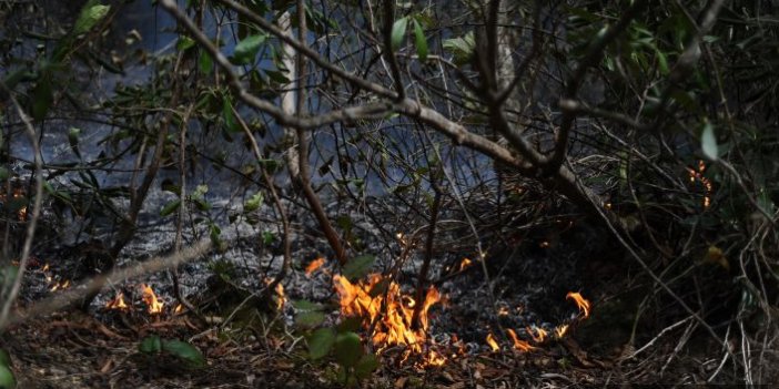 Giresun'da orman yangınları devam ediyor
