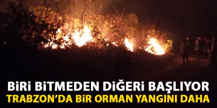 Biri bitmeden diğeri başlıyor! Trabzon'da bir orman yangını daha!