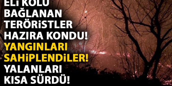 Trabzon'daki orman yangınları terör örgütlerinin malzemesi oldu! Sahiplendiler!