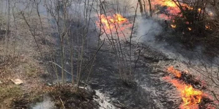Karadeniz'deki yangınlarda son durum