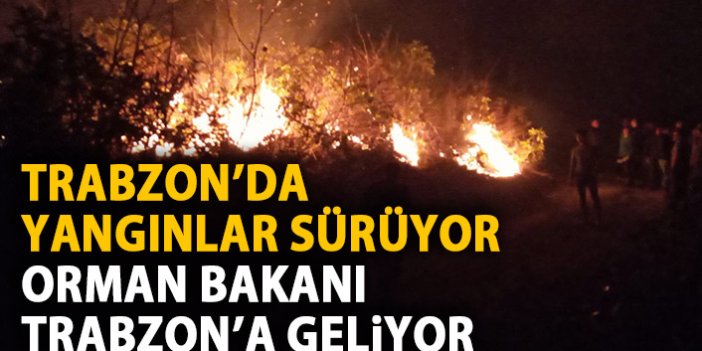Tarım ve Orman Bakanı Bekir Pakdemirli Trabzon'a geliyor