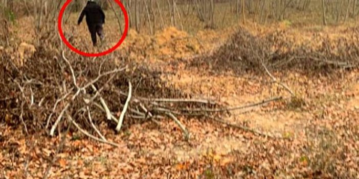 Ormanlık alanda, köpeğe cinsel istismar uygularken yakalandı
