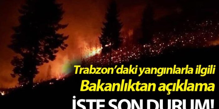 Bakanlık'tan flaş Trabzon Orman yangını açıklaması
