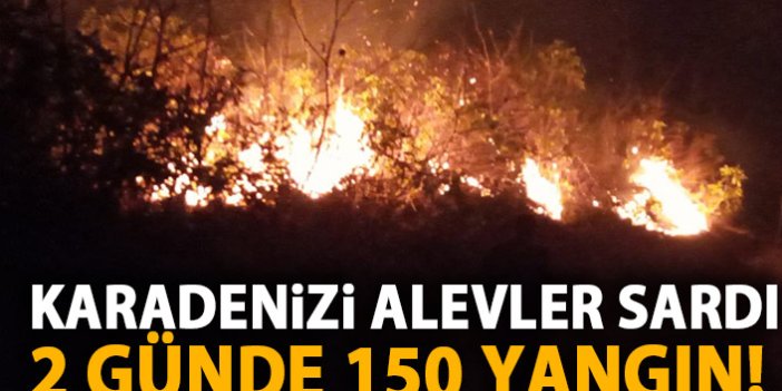 Karadeniz'i alevler sardı! 2 günde 150 yangın!
