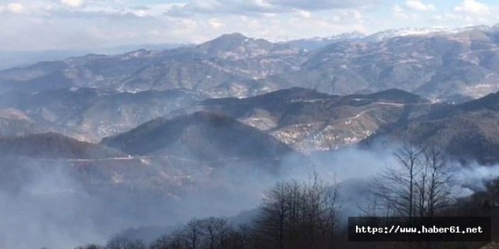 Trabzon'da orman yangınları devam ediyor