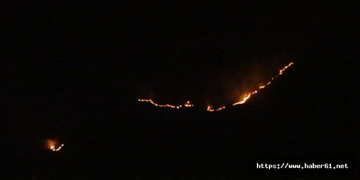 Bakan'dan yangın bölgesine gece yarısı çıkarması